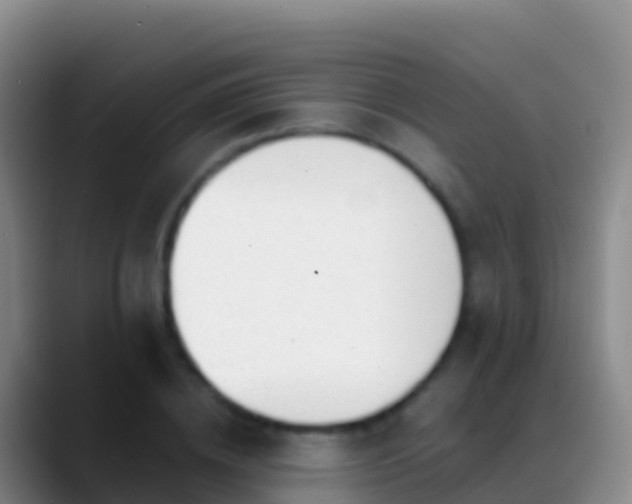 X0000088910836200706151904