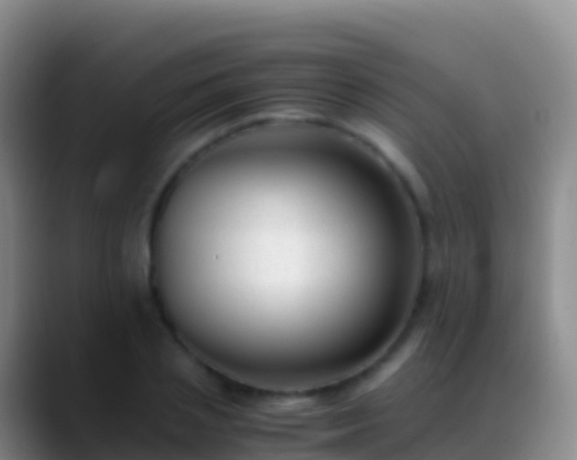 X0000088910837200706151904