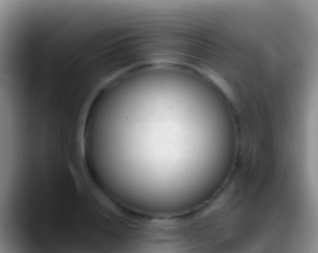 X0000088910840200706151904
