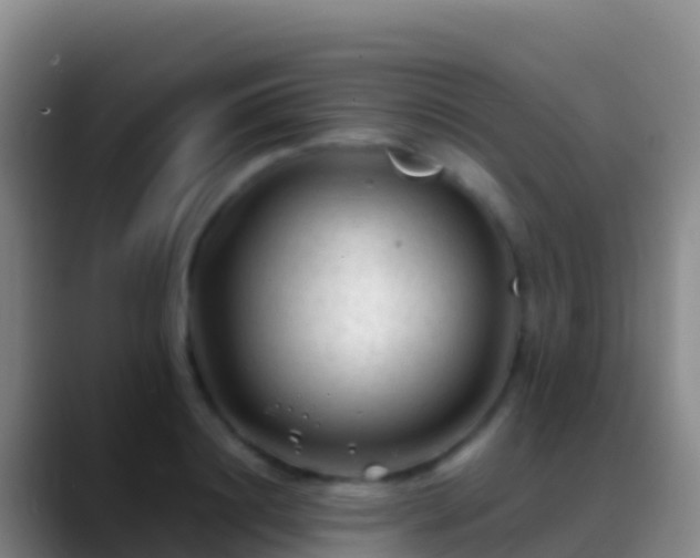X0000088910844200706151904