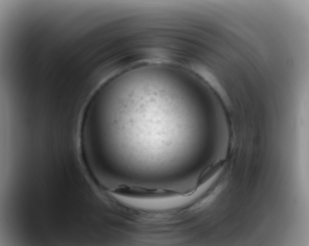 X0000088910845200706151904