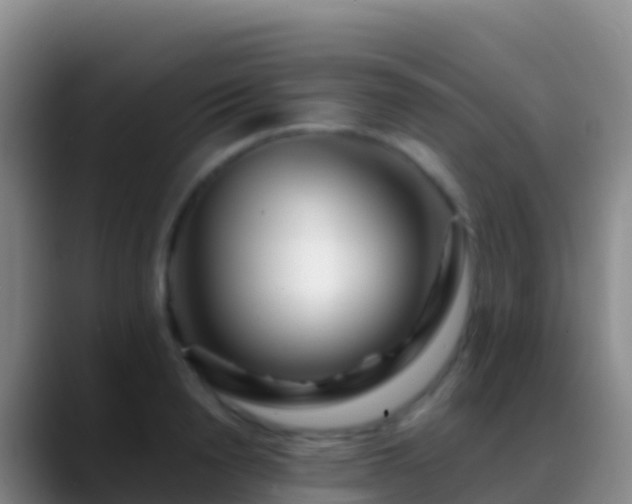 X0000088910846200706151904