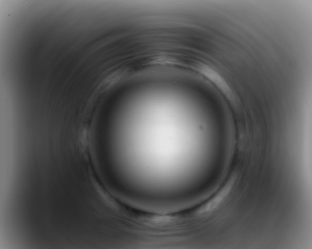 X0000088910849200706151904