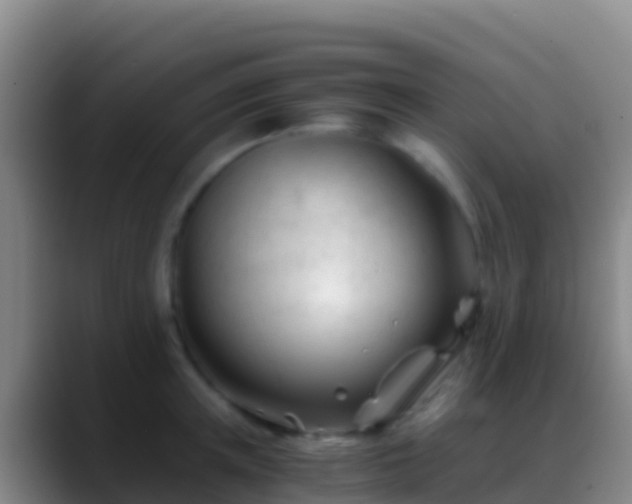 X0000088910851200706151905