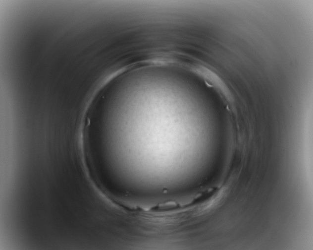 X0000088910855200706151905
