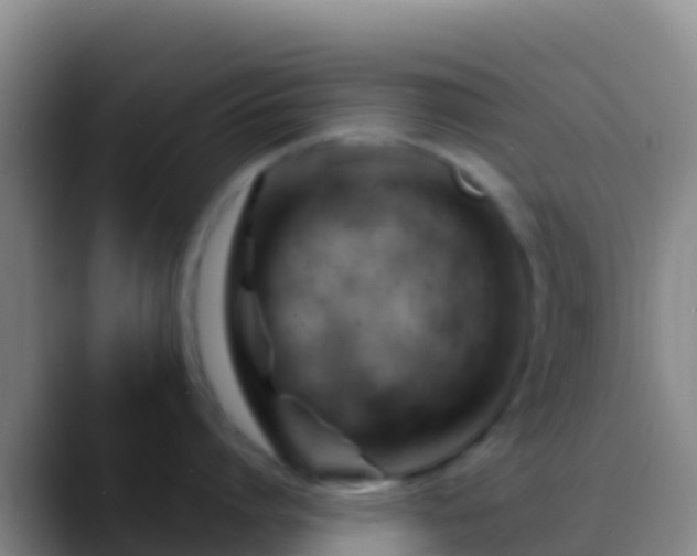 X0000088910864200706151905