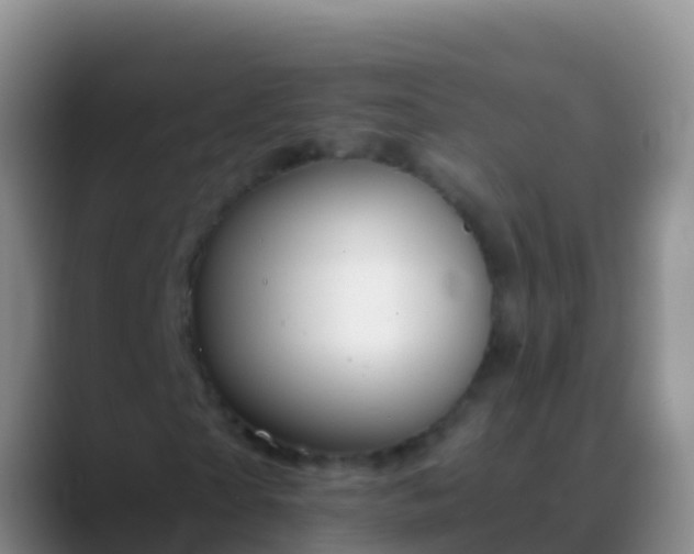 X0000088910865200706151904