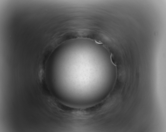 X0000088910866200706151904