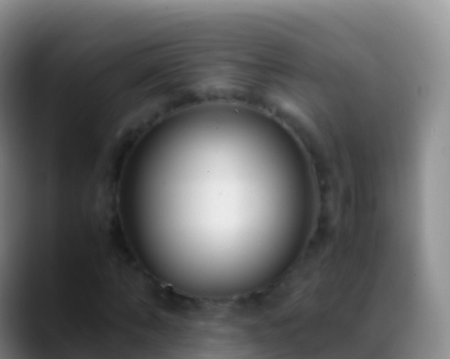 X0000088910870200706151904