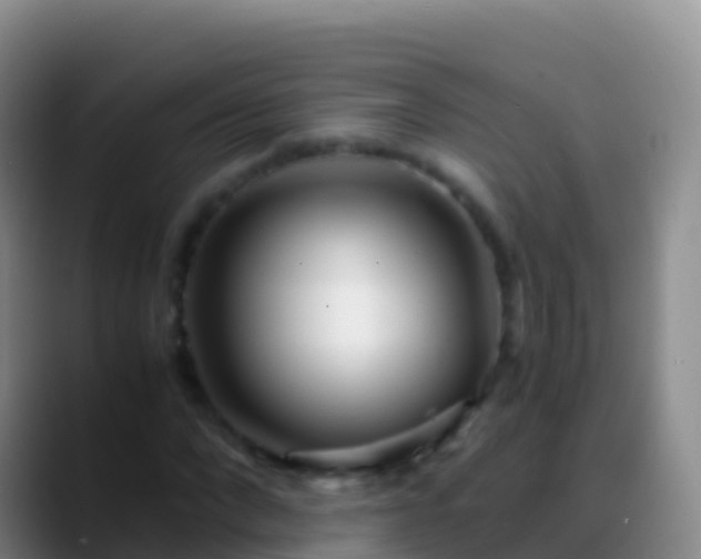 X0000088910872200706151904