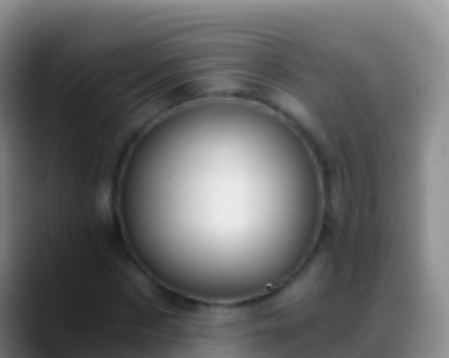 X0000088910873200706151904