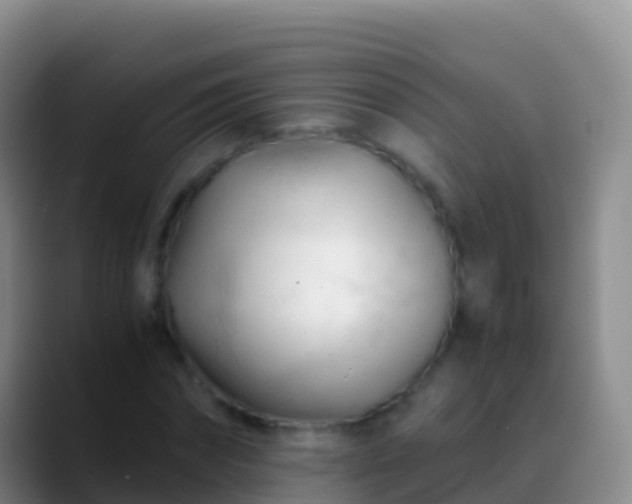 X0000088910874200706151904