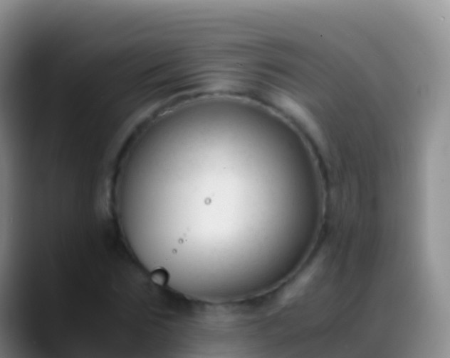 X0000088910875200706151904