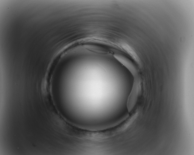 X0000088910876200706151904