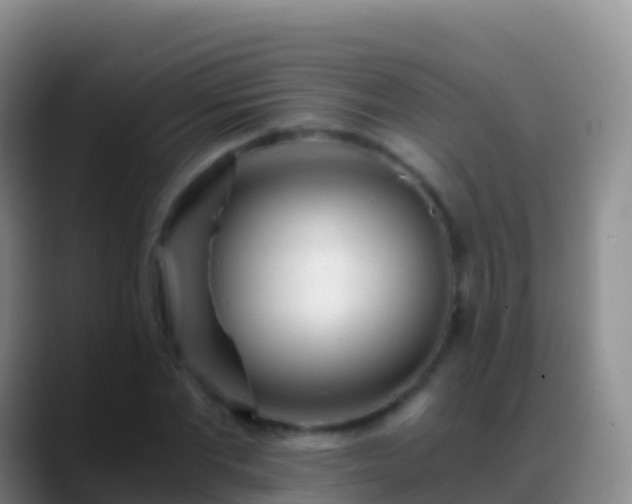X0000088910877200706151904