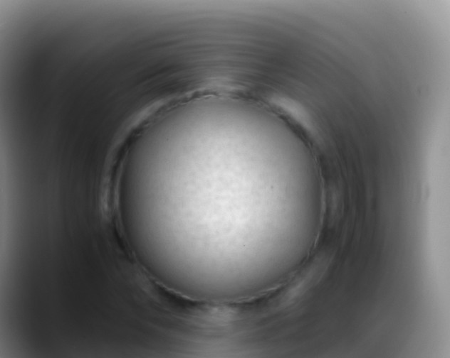 X0000088910878200706151904