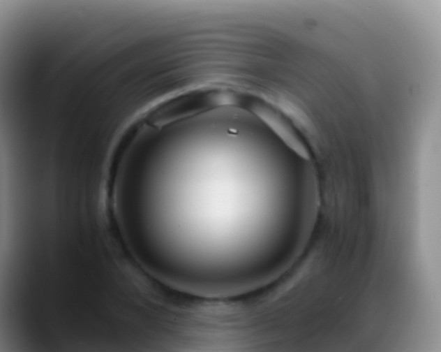 X0000088910880200706151904