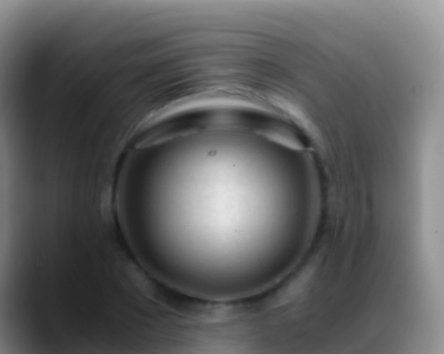 X0000088910881200706151904