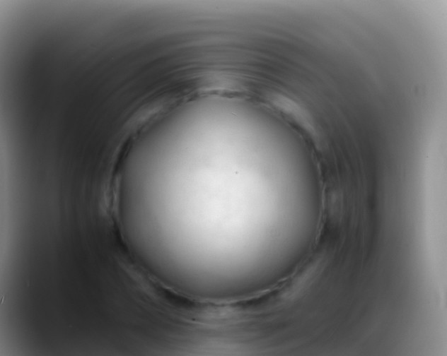 X0000088910882200706151904