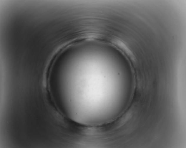 X0000088910883200706151904