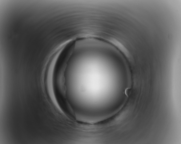 X0000088910885200706151904
