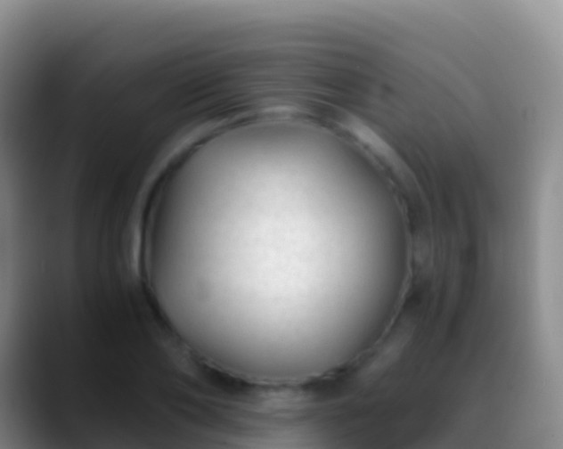 X0000088910886200706151904