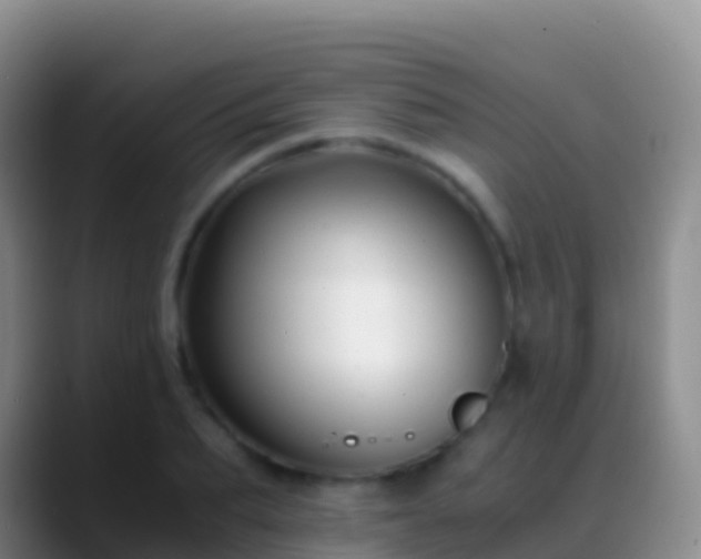 X0000088910887200706151904