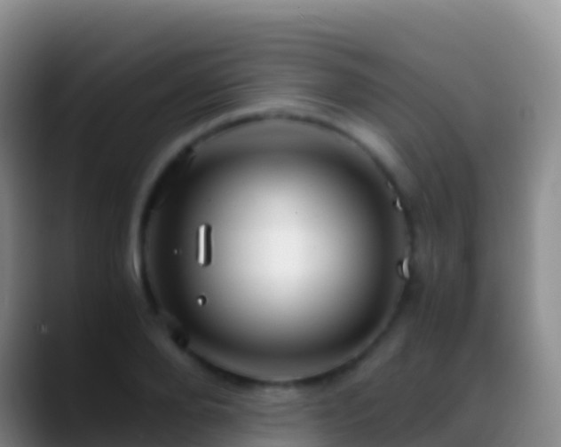 X0000088910888200706151904