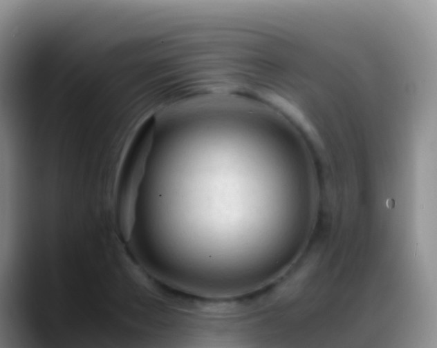 X0000088910889200706151904
