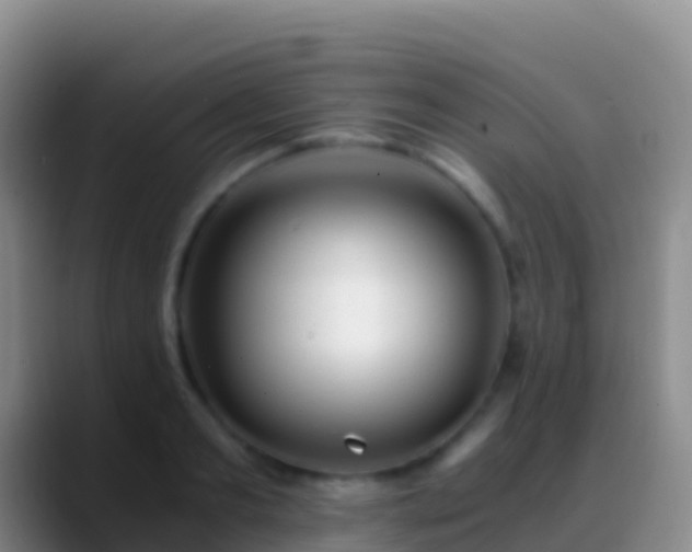 X0000088910893200706151904