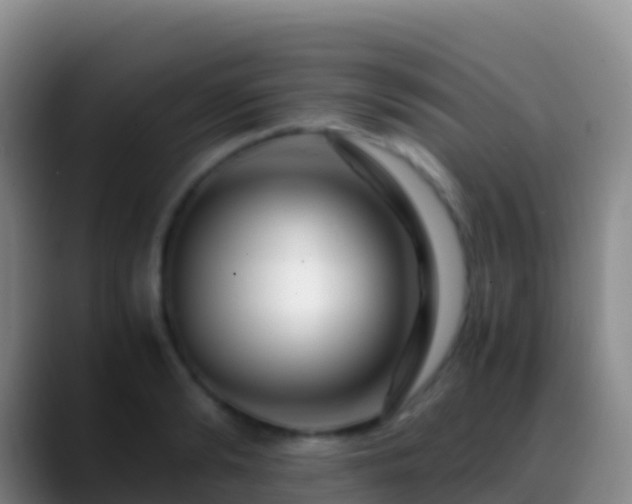 X0000088910894200706151904