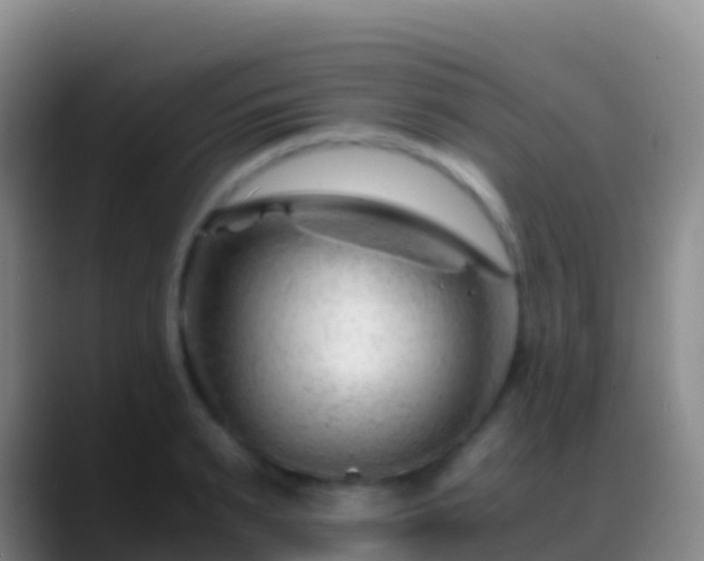 X0000088910895200706151904
