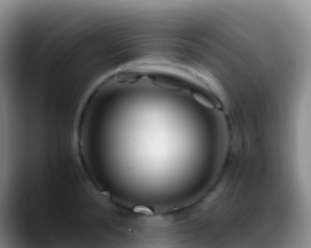 X0000088910896200706151904