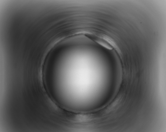 X0000088910898200706151904