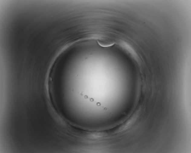 X0000088910899200706151904