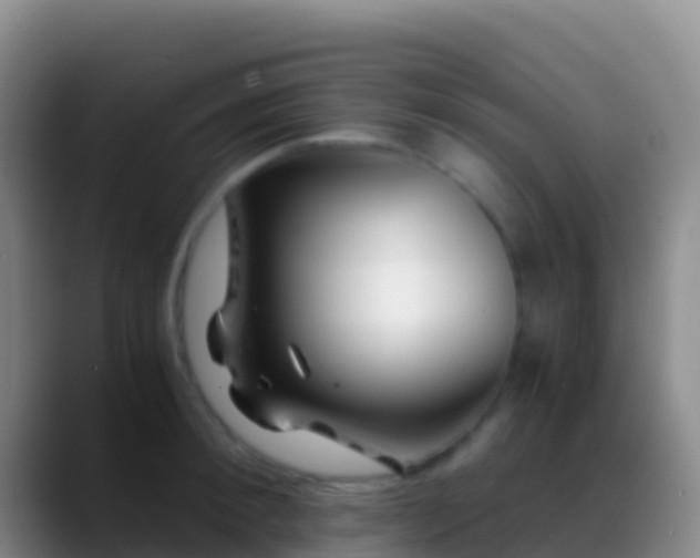 X0000088910900200706151904
