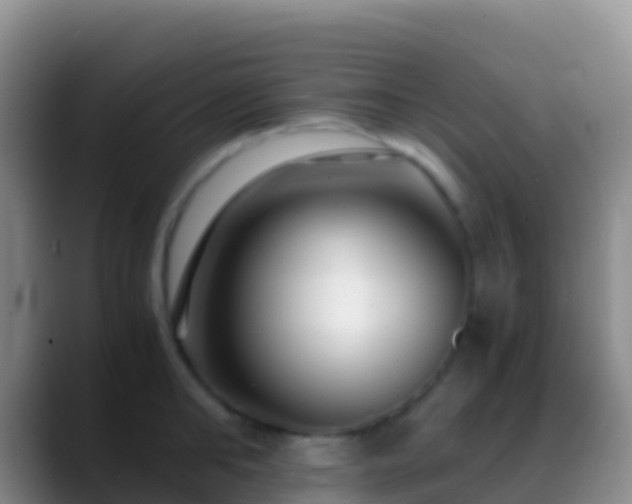 X0000088910902200706151904