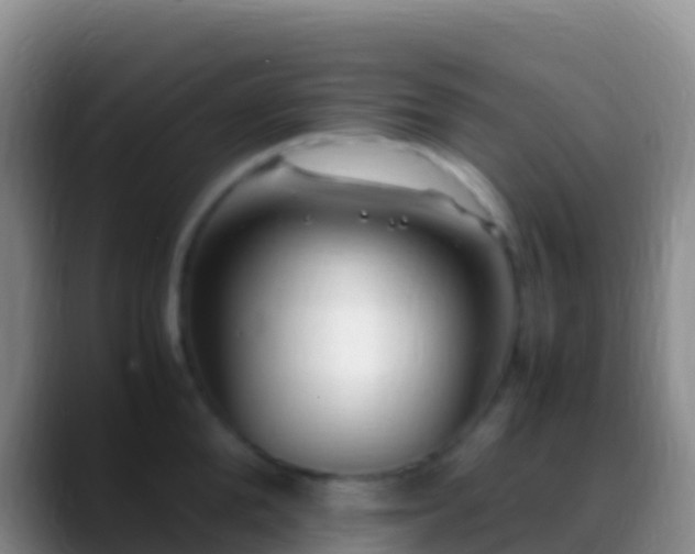 X0000088910904200706151904