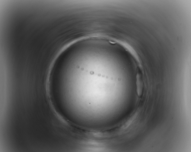X0000088910911200706151904