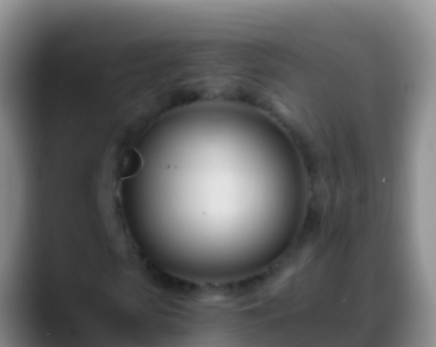 X0000088910913200706151903