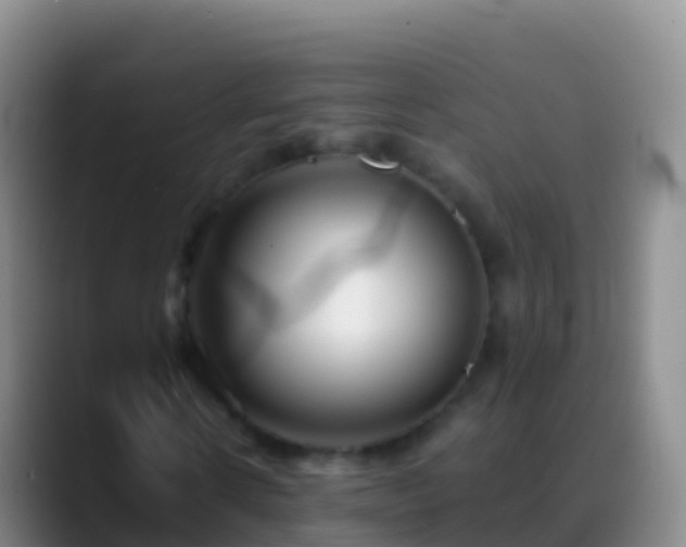 X0000088910914200706151903