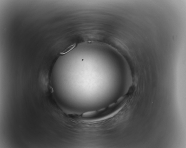 X0000088910915200706151903