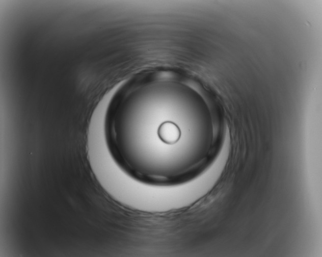 X0000088910916200706151903