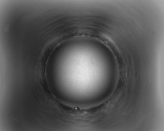 X0000088910919200706151903