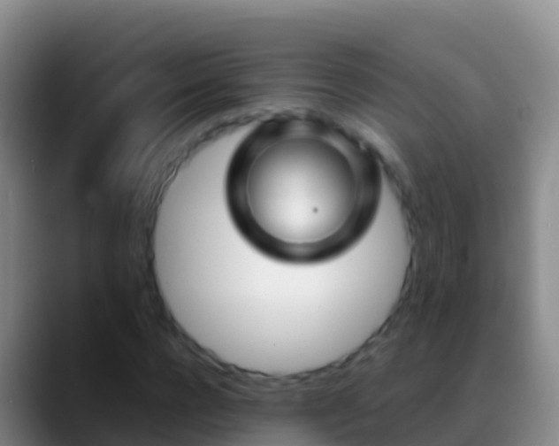 X0000088910920200706151903