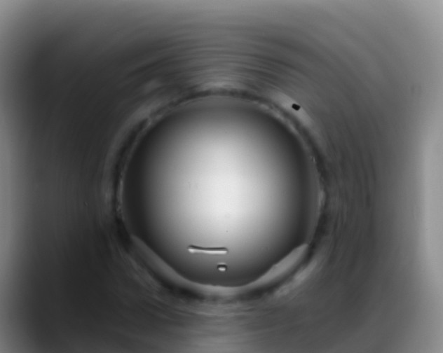 X0000088910922200706151903