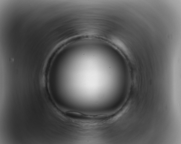 X0000088910924200706151903