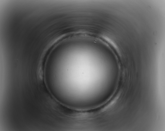 X0000088910925200706151903