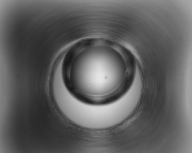 X0000088910928200706151903