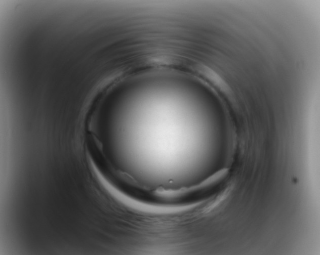 X0000088910930200706151903